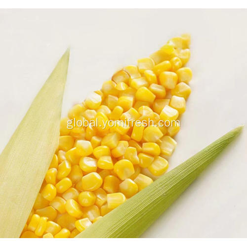 Yellow Sweet Corn Sweet Corn Seeds For Sale Manufactory